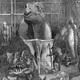 Image for article titled How the Democrats Tried to Destroy Dinosaur Art
